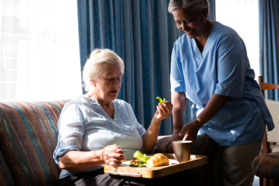 Skilled Nursing Services